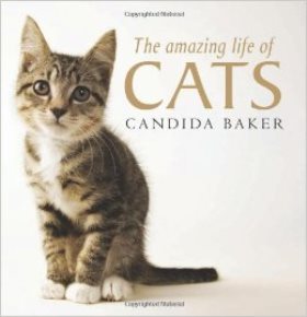 The Amazing Life of Cats