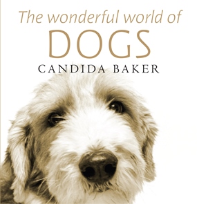 The Wonderfull World of Dogs